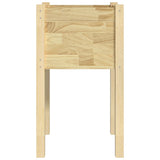 NNEVL Garden Planter 40x40x70 cm Solid Pinewood