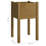 NNEVL Garden Planters 2 pcs Honey Brown 40x40x70 cm Solid Pinewood