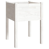NNEVL Garden Planter White 50x50x70 cm Solid Pinewood