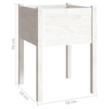 NNEVL Garden Planter White 50x50x70 cm Solid Pinewood