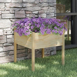 NNEVL Garden Planter 70x70x70 cm Solid Pinewood