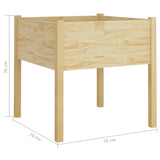 NNEVL Garden Planters 2 pcs 70x70x70 cm Solid Pinewood