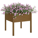 NNEVL Garden Planters 2 pcs Honey Brown 70x70x70 cm Solid Pinewood