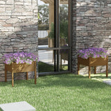 NNEVL Garden Planters 2 pcs Honey Brown 70x70x70 cm Solid Pinewood