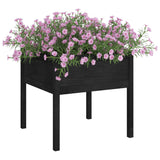 NNEVL Garden Planter Black 70x70x70 cm Solid Pinewood