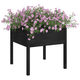 NNEVL Garden Planters 2 pcs Black 70x70x70 cm Solid Pinewood