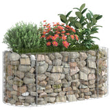 NNEVL Gabion Raised Bed Galvanised Iron 120x50x50 cm