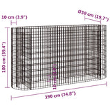 NNEVL Gabion Raised Bed Galvanised Iron 190x50x100 cm