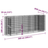 NNEVL Gabion Raised Bed Galvanised Iron 260x50x100 cm