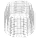 NNEVL Gabion Raised Bed Galvanised Iron 200x100x50 cm