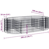 NNEVL Gabion Raised Bed Galvanised Iron 200x100x50 cm