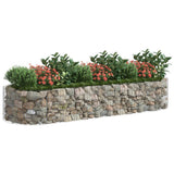 NNEVL Gabion Raised Bed Galvanised Iron 300x100x50 cm