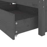 NNEVL Bed Frame with Drawers Grey 150x200 cm 5FT King Size
