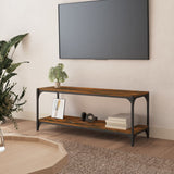 NNEVL TV Cabinet Smoked Oak 100x33x41 cm Engineered Wood and Steel