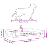 NNEVL Dog Bed Light Grey 100x50x21 cm Velvet