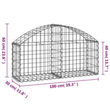 NNEVL Arched Gabion Basket 100x30x40/60 cm Galvanised Iron