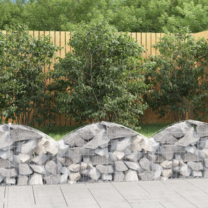 NNEVL Arched Gabion Basket 100x30x40/60 cm Galvanised Iron