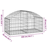NNEVL Arched Gabion Basket 100x50x40/60 cm Galvanised Iron