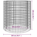 NNEVL Gabion Fire Pit Ø 100 cm Galvanised Iron