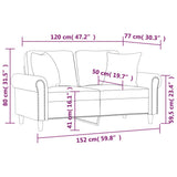 NNEVL 2-Seater Sofa with Pillows&Cushions Dark Grey 120 cm Velvet