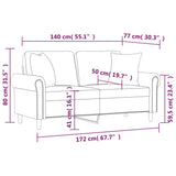 NNEVL 2-Seater Sofa with Pillows&Cushions Dark Grey 140 cm Velvet