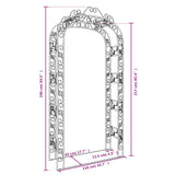 NNEVL Garden Arch Black 116x45x240 cm Steel