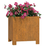 NNEVL Planters with Legs 2 pcs Rusty 32x30x33 cm Corten Steel