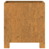 NNEVL Planters with Legs 2 pcs Rusty 32x30x33 cm Corten Steel
