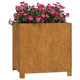 NNEVL Planters with Legs 2 pcs Rusty 49x47x50 cm Corten Steel