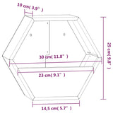 NNEVL Wall Planters 2 pcs Rusty Corten Steel 30x10x25 cm