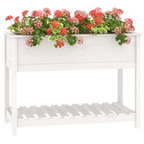 NNEVL Planter with Shelf White 111.5x54x81 cm Solid Wood Pine