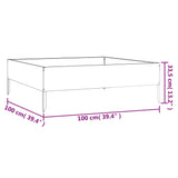 NNEVL Garden Raised Bed 100x100x33.5 cm Corten Steel