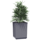 NNEVL Planters 2 pcs Dark Grey 30x30x37 cm Polypropylene