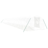 NNEVL Greenhouse with Steel Frame White 66 m² 22x3x2 m
