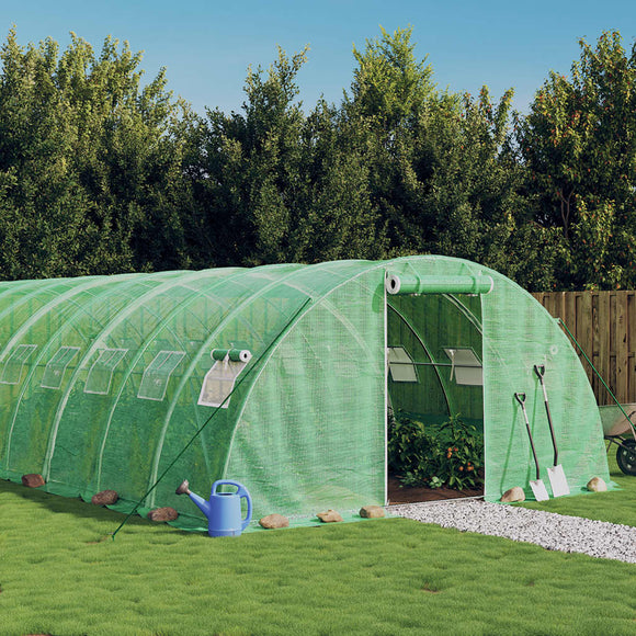 NNEVL Greenhouse with Steel Frame Green 24 m² 6x4x2 m