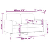NNEVL 2-Seater Sofa with Throw Pillows Light Grey 120 cm Velvet