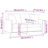 NNEVL 2-Seater Sofa with Throw Pillows Light Grey 120 cm Fabric