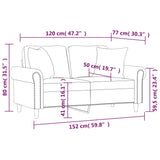 NNEVL 2-Seater Sofa with Throw Pillows Dark Grey 120 cm Velvet