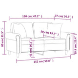 NNEVL 2-Seater Sofa with Throw Pillows Black 120 cm Velvet
