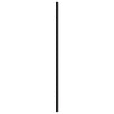 NNEVL Wall Mirror Black 30x60 cm Rectangle Iron