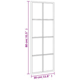 NNEVL Wall Mirror Black 30x80 cm Rectangle Iron
