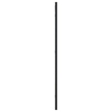 NNEVL Wall Mirror Black 40x80 cm Rectangle Iron