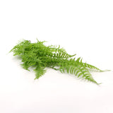 NNEDSZ Fresh Green Boston Fern UV Resistant 80cm
