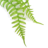 NNEDSZ Fresh Green Boston Fern UV Resistant 80cm