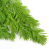 NNEDSZ Fresh Green Bamboo Leaf Fern UV Resistant 80cm