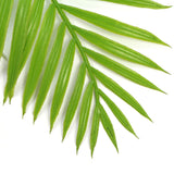 NNEDSZ Fresh Green Bamboo Leaf Fern UV Resistant 80cm