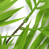 NNEDSZ Fresh Green Bamboo Leaf Fern UV Resistant 80cm
