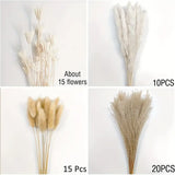 NNETM Real Touch Dried Flower Set - 50pcs Artificial Rabbit Tail Reed Set (90cm)