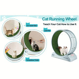 NNETM Pet Fitness Wheel - Interactive Treadmill for Cats and Dogs Grey