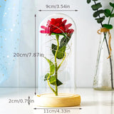 NNETM Eternal Rose LED Light Foil Flower in Glass Cover(Red)